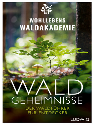 cover image of Waldgeheimnisse
